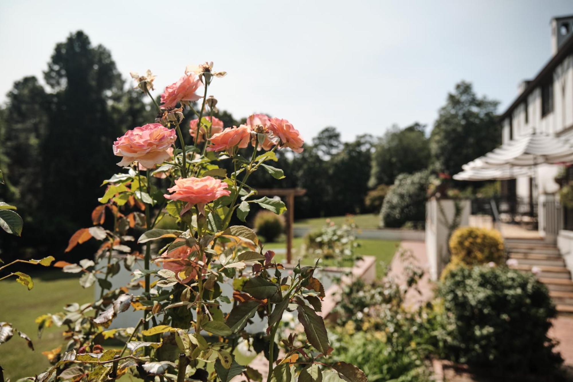 서던파인스 Duncraig Manor B&B 외부 사진